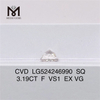 3,19 CT CVD-Diamant Großhandel SQ F VS1 gewachsener Stein Preis