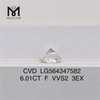 6,01 CT F VVS2 3EX Labordiamanten, Website CVD LG564347582