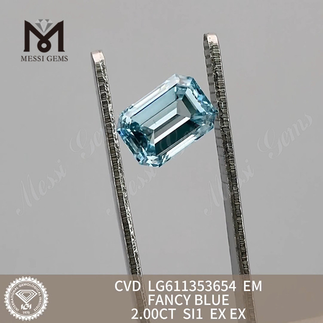 2,00 CT SI1 EM FANCY BLUE Cvd Diamant, Preis pro Karat, Preis LG611353654 