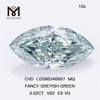 3ct Diamanten grün VS2 EX VG CVD MQ FANCY GREYISH GREEN VS2 EX VG CVD LG586346997 