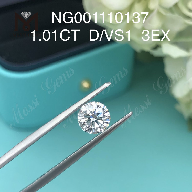 1,01 ct VS1 D EX RUND BRILLIANT, beste online im Labor gezüchtete Diamanten